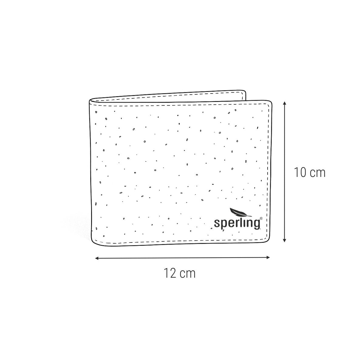 "Wealthy" 2-in-1 Herren-Portemonnaie